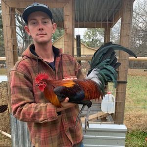 Meet your Posher, Andrew